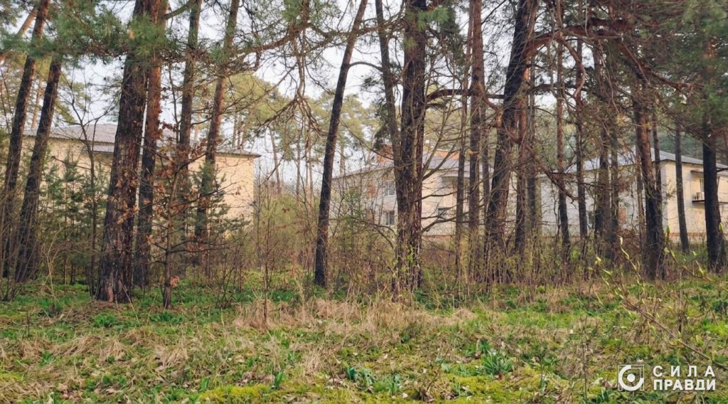 На Волині поліція розслідує передачу 8,6 га землі під Луцьком родинній фірмі нардепа Палиці 