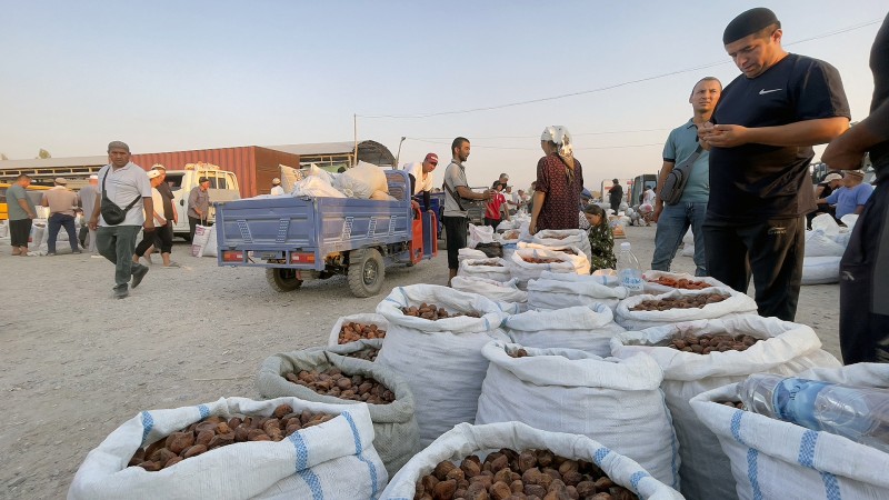 Civil Society Groups Urge EU to Tighten Kyrgyzstan Sanctions Following Export Ban