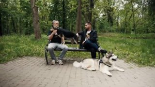 Лучше сразу запретить критику Зеленского и его политических решений, зачем ост...