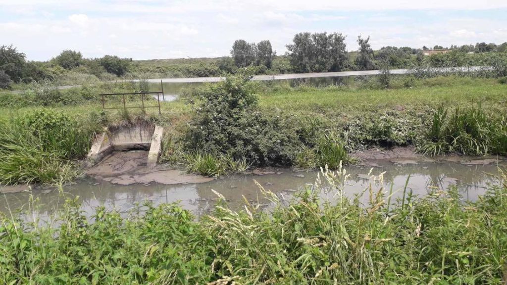 Луцькводоканал зобов’язали відшкодувати за загибель риби у Стиру понад вісім мільйонів гривень