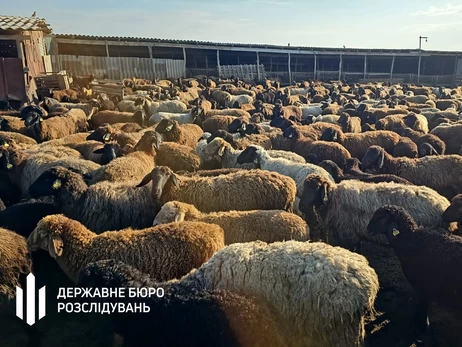 «Мертві душі» по-одеськи: на «віртуальних тваринах» заробили 20 мільйонів
