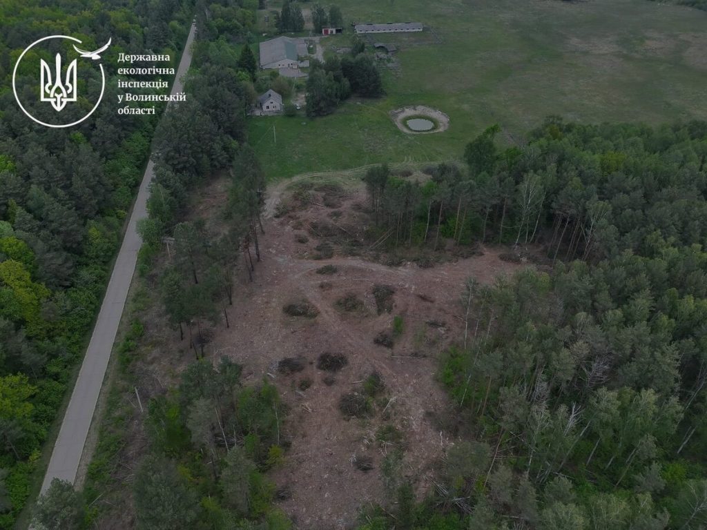 На Волині виявили незаконну вирубку дерев на понад 16,5 мільйонів гривень