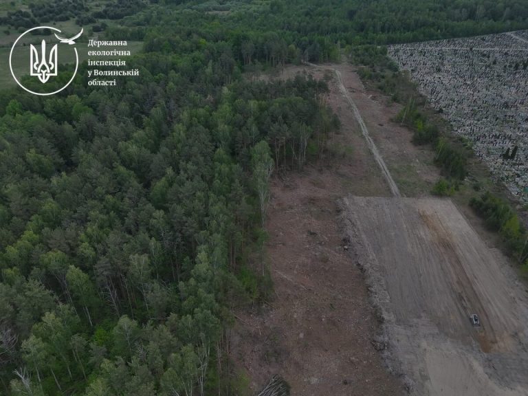 На Волині виявили незаконну вирубку дерев на понад 16,5 мільйонів гривень