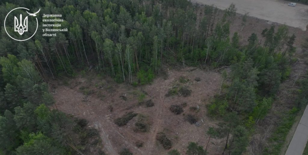 На Волині виявили незаконну вирубку дерев на понад 16,5 мільйонів гривень - у Ковельському районі