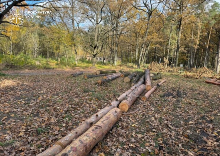 Екслісничого на Волині підозрюють у незаконній вирубці дерев на майже два мільйони гривень