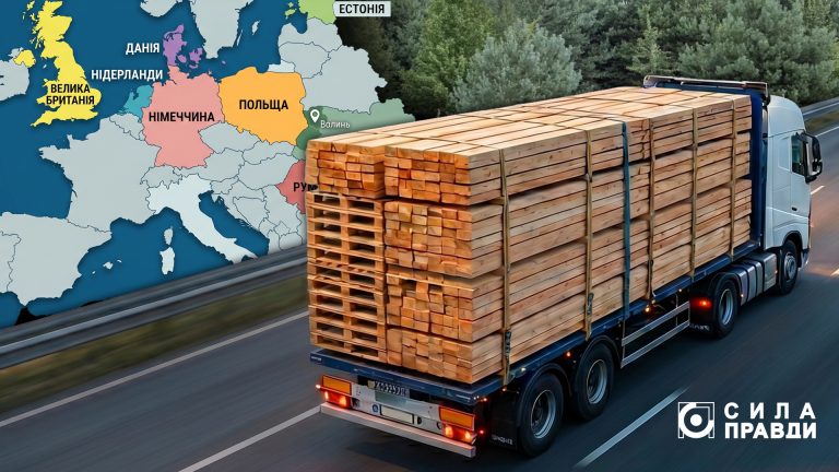 Куди і скільки експортували деревини з Волині у 2024-2025 роках