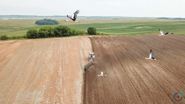 На Волині судитимуть посадовців аграрного держпідприємства через незаконне використання 860 гектарів землі