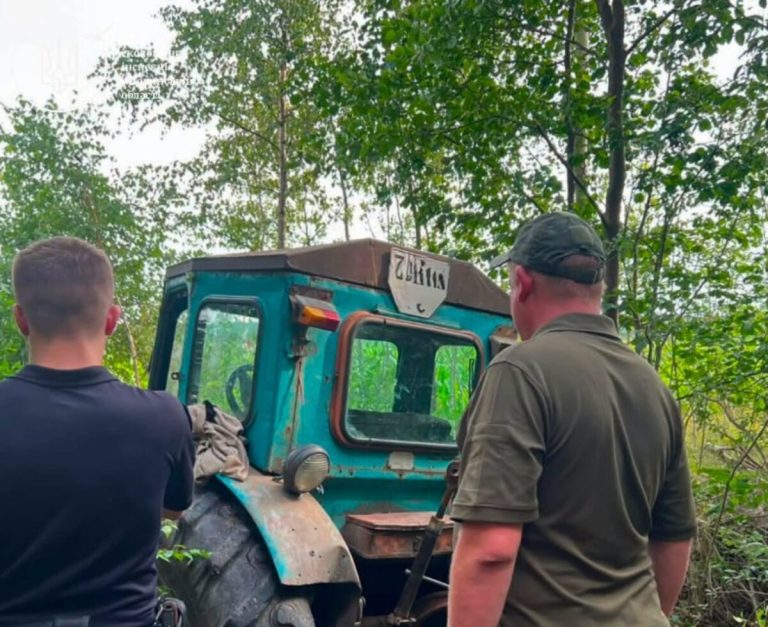 Екологи виявили на Волині незаконну вирубку лісу на площі майже 10 гектарів