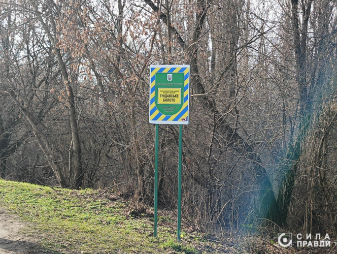 На Волині суд відмовився повернути державі гектар землі в заказнику «Гнідавське болото»
